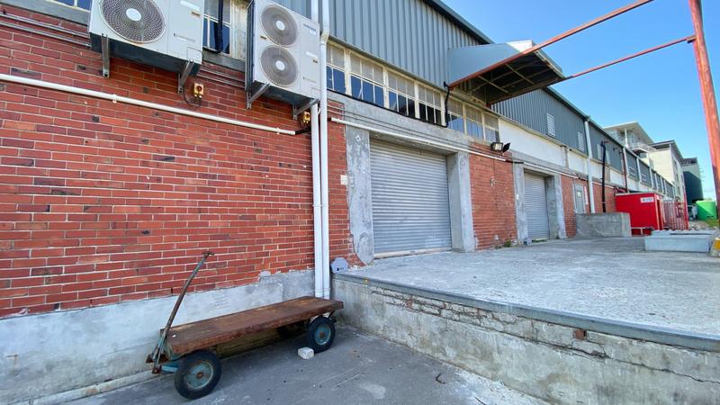To Let commercial Property for Rent in Observatory Western Cape